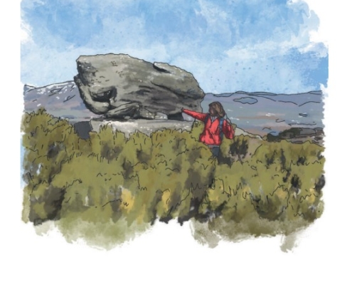 Noticias Guía ilustrada "Descubriendo el Paisaje Glaciar de Campoo Los Valles" Bárbara Quevedo Geógrafa Noticias Guía ilustrada "Descubriendo el Paisaje Glaciar de Campoo Los Valles" Bárbara Quevedo Geógrafa