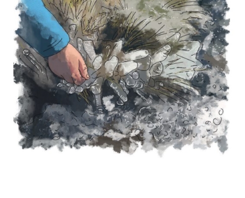 Guía ilustrada "Descubriendo el Paisaje Glaciar de Campoo Los Valles" hielo Guía ilustrada "Descubriendo el Paisaje Glaciar de Campoo Los Valles" hielo