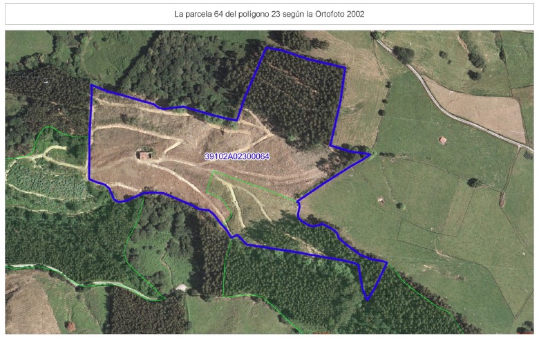 Perito en conflicto de Montes de Utilidad Pública Perito en conflicto de Montes de Utilidad Pública